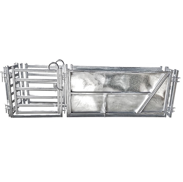 V Sheep RACE Adjustible