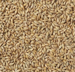 Barley $350 contact for a delivered price 