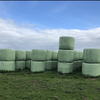 OATEN SILAGE 1.1 ton bales weighed AVAILABLE NOW