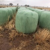 90 x Canola Silage 500kg 5x4 Bales