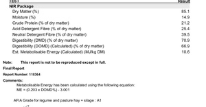 Vetch Hay 8x4x3 Bales