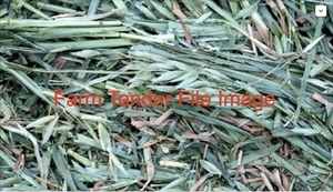 Oaten hay For Sale in 8x4x3's