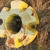 JOHN DEERE REAR WHEEL WEIGHTS