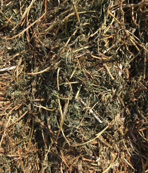 NEW SEASON PURE VETCH HAY 185T QUAMBATOOK