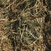 NEW SEASON PURE VETCH HAY 185T QUAMBATOOK