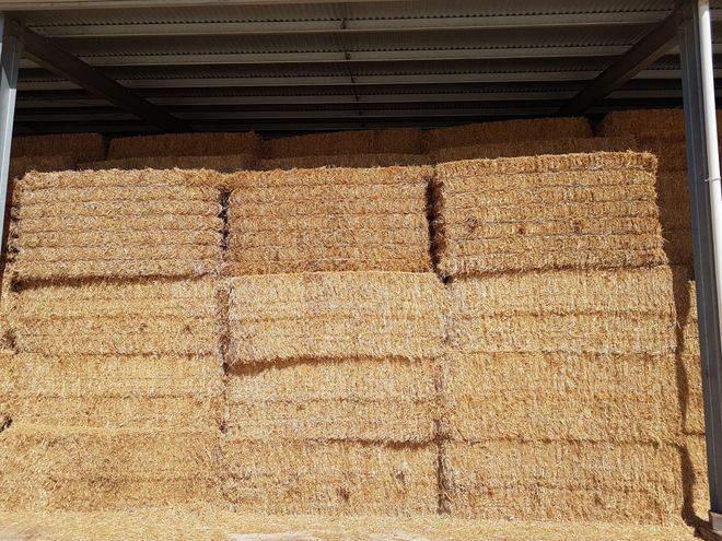 3 x B-Double Loads of Vetch Hay 