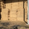 Shedded Wheat and Barley straw