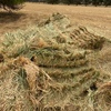 200mt Cereal Hay 700kg 8x4x3 Bales