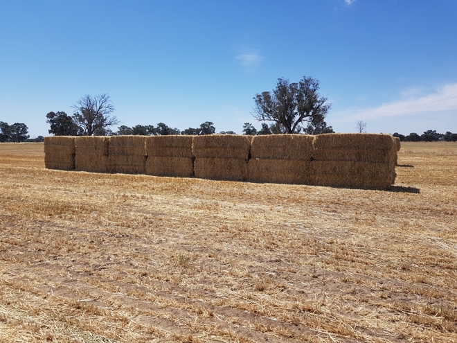 Oaten Hay - 8x4x3 bales