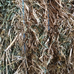 70mt Canola Hay 700kg 8x4x3 Bales