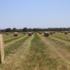 Clover Hay 5x4 Bales