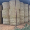 261 x Lucerne & Rye Grass 440kg 5x4 Round Bales 