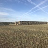 Canola Hay, 8x4x3 bales, 260t Approx