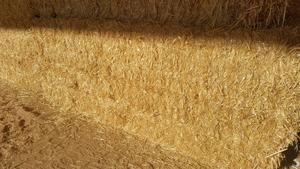 2019 Barley Straw, 410kg/bale. Stored in shed