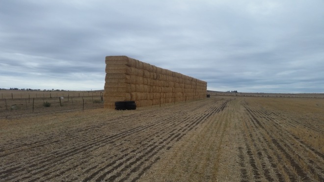  Wheaten Straw 127 - 8x4x3 Bales 500kg+ Header trailed wheaten straw  - Sold By The Ton -