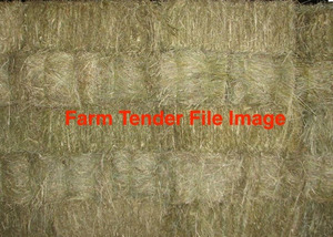 2700 x Wintaroo Oaten Hay Small Square Bales