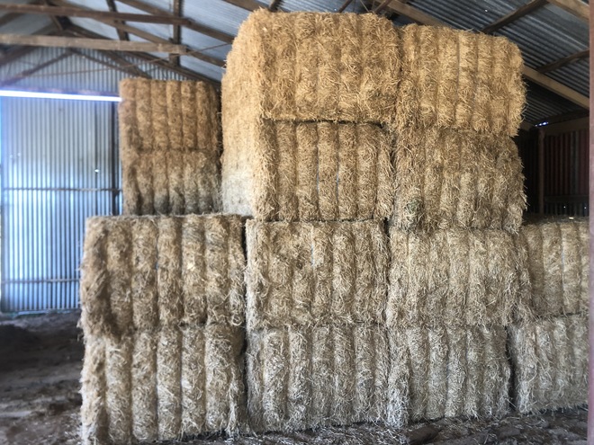 Vetch Hay   26 Bales