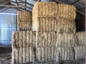 Vetch Hay 26 Bales