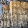 Vetch Hay   26 Bales