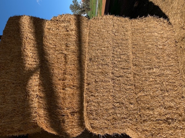 Barley straw