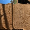 Barley straw