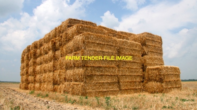 Header Trail Barley Straw Wanted in Squares Ex Farm