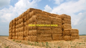 Header Trail Barley Straw Wanted in Squares Ex Farm