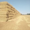 Wheaten Straw:  High Density Bales - 500T (45 min from VIC/NSW border)