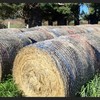 92 x Pasture Hay 5x4 Bales