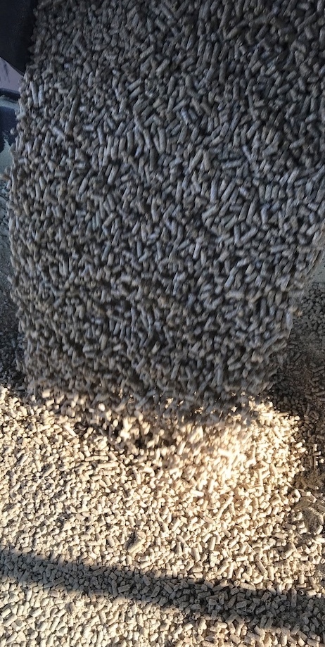 Lamb Feed Pellets