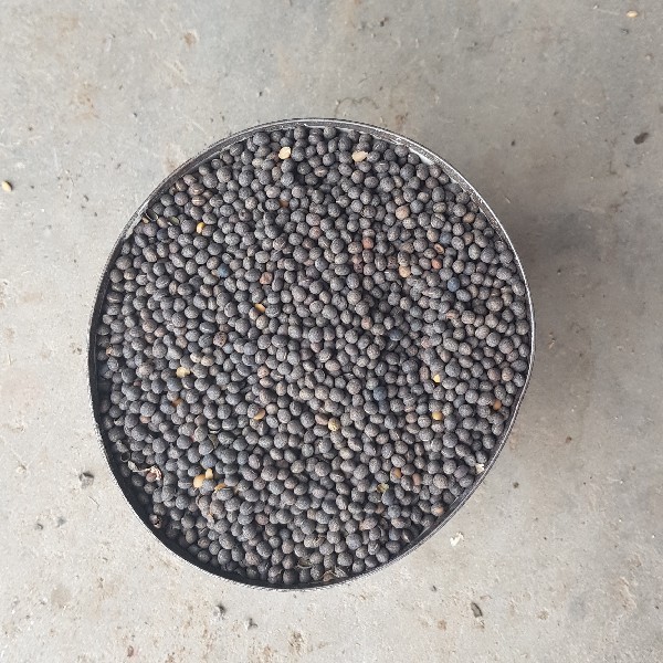 50t Vetch Seed