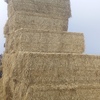 220mt Wheaten Straw 480-500kg 8x4x3 Bales (Windrowed & Steamed)