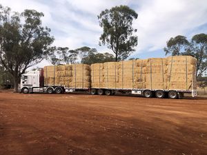 1000mt Barley Straw Tailings 500kg 8x4x3 Bales (HD Baler)