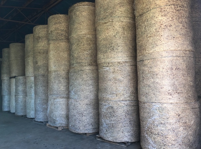 Ryegrass & Clover Hay  4'8