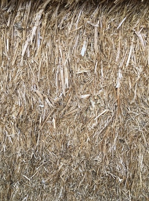 200mt Canola Hay 600kg 8x4x3 Bales