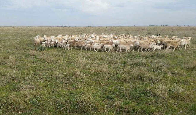 Freehold Groundwater Bore Farm