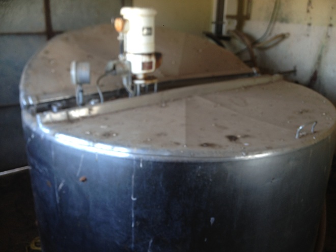 Dairy complete herringbone swing over, cups, pumps, feed system, vats, compressors, coolers, cup wash system etc