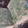 60mt Canola Hay 640kg 8x4x3 bales (High Protein)