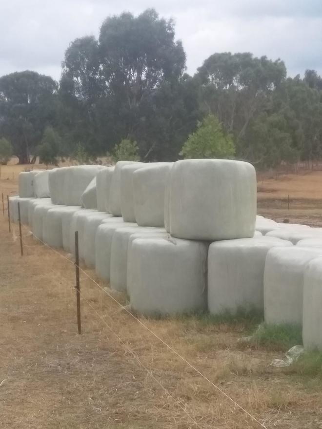 Ryegrass Silage . 100 Rolls
