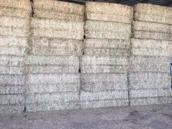 Clover Hay