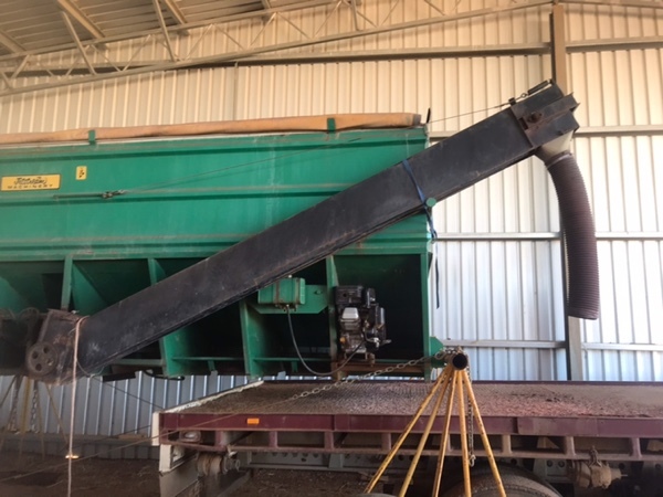 Jetstream 1511 Grouper