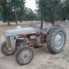 GREY FERGY TRACTOR 
