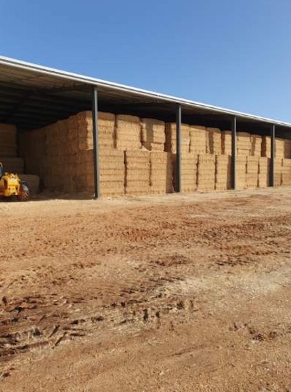 200mt Oaten Hay 600kg 8x4x3 Bales ex farm