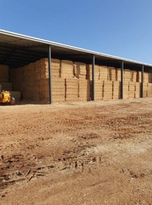 200mt Oaten Hay 600kg 8x4x3 Bales ex farm