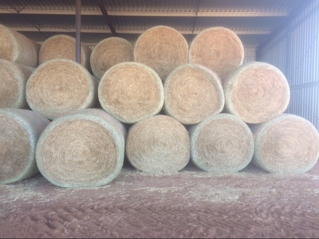 Wheaten Straw  Rolls