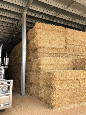 240mt Oaten Hay 650kg 8x4x3 Bales