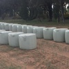 Canola  Wrapped Silage  Hay 5x4 - 500 x 500 KG Approx Rolls