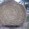 70 m/t Oaten Hay 5x4 Rolls 500kg's