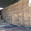 Barley Straw 8x4x3 Shedded 