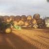 Canola round bale hay